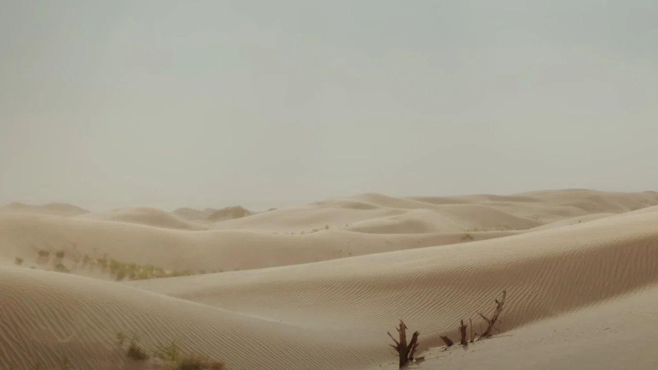 The Door - 剧照