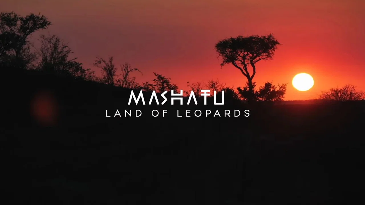 Mashatu: Land of Leopards - 剧照