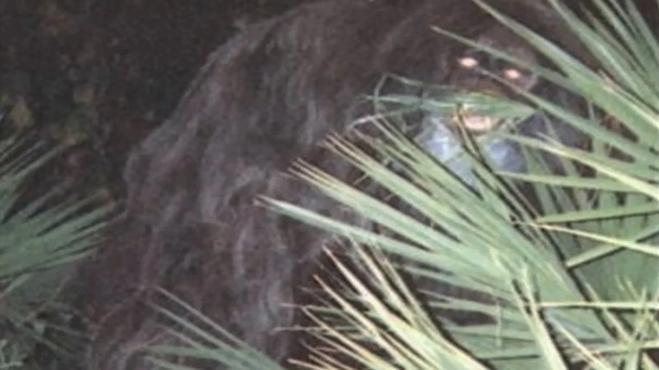 Southern Fried Bigfoot - 剧照
