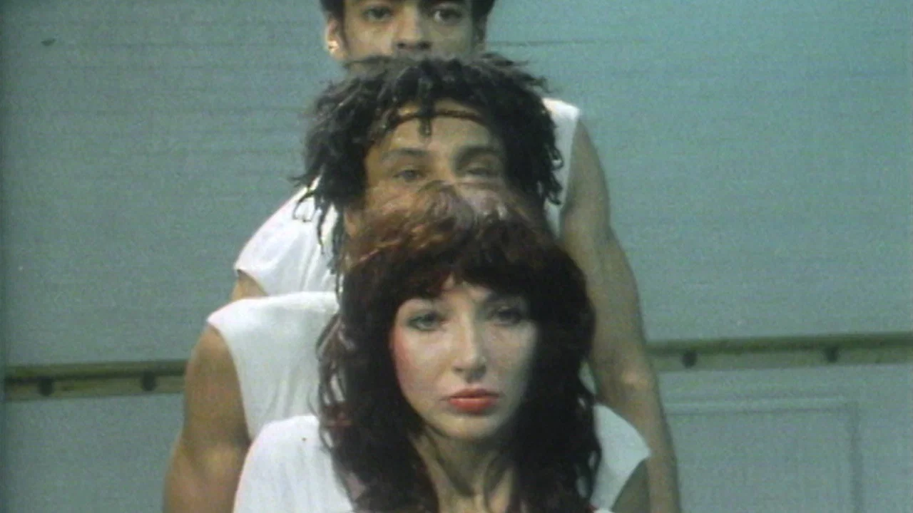 L&rsquo;odyss&eacute;e musicale de Kate Bush - 剧照