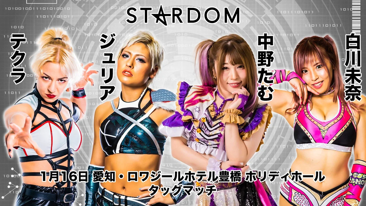 スターダム豊橋大会 - 剧照