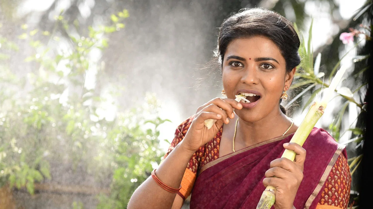 కౌసల్య కృష్ణమూర్తి - 剧照