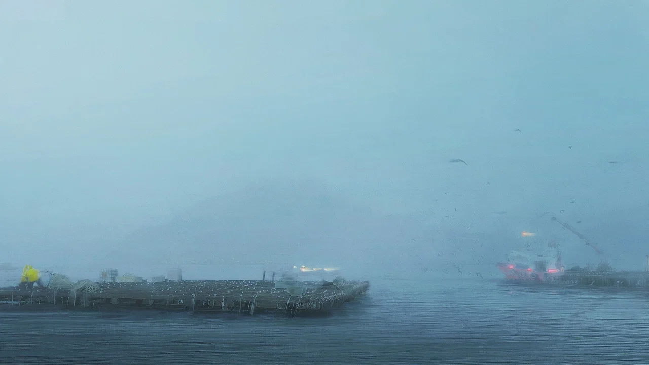 Entre Bateas - 剧照