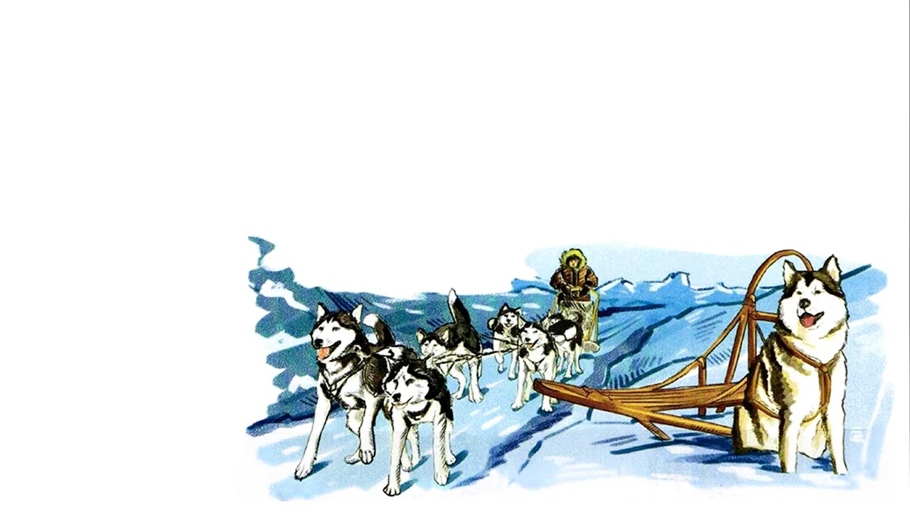 Alaskan Sled Dog - 剧照