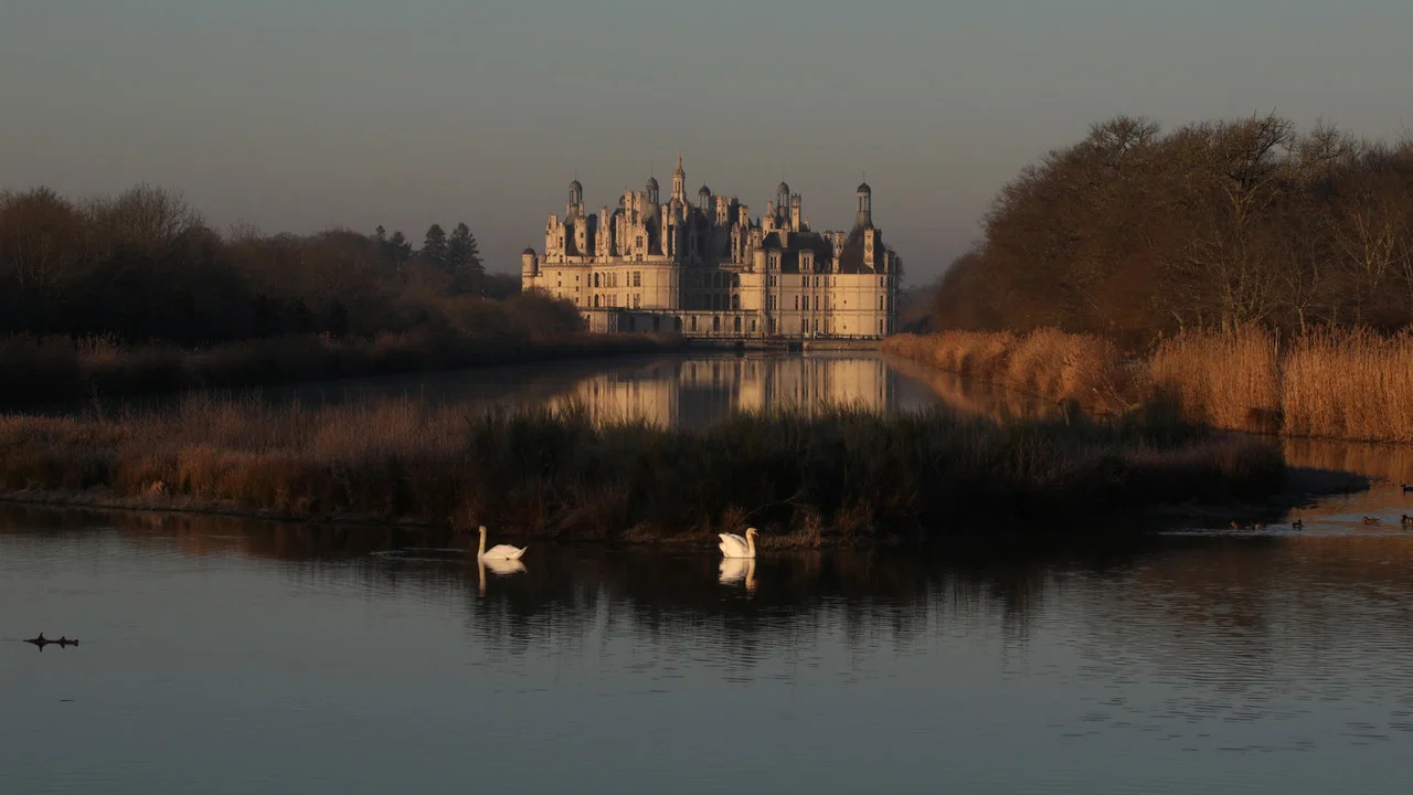 Chambord - 剧照