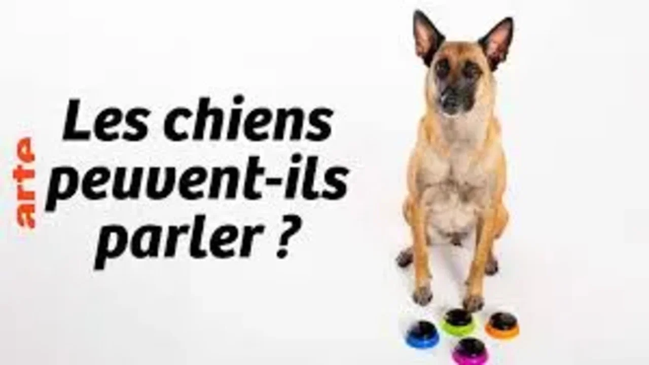 Can Dogs Talk? - 剧照