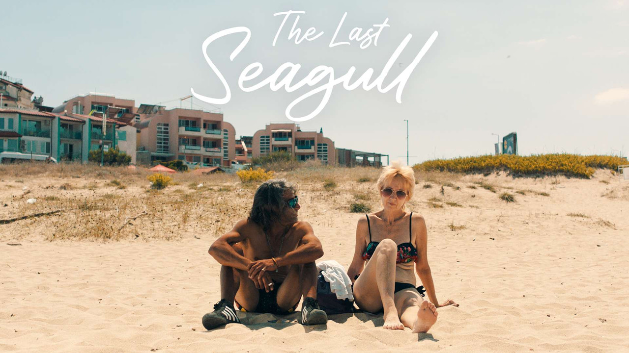 The Last Seagull - 剧照