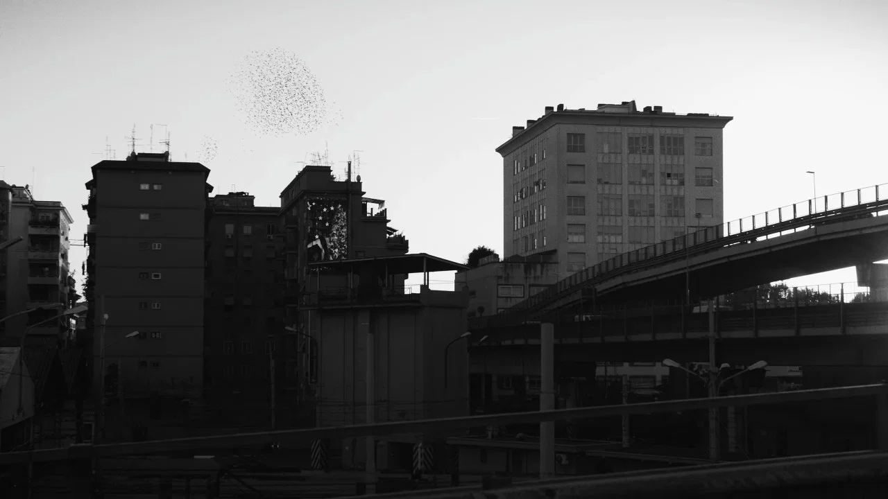 Urbem - 剧照