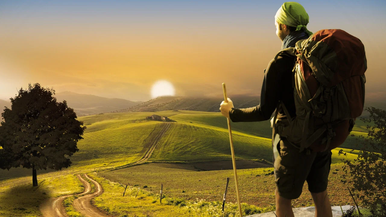 Compostelle, le chemin de la vie - 剧照