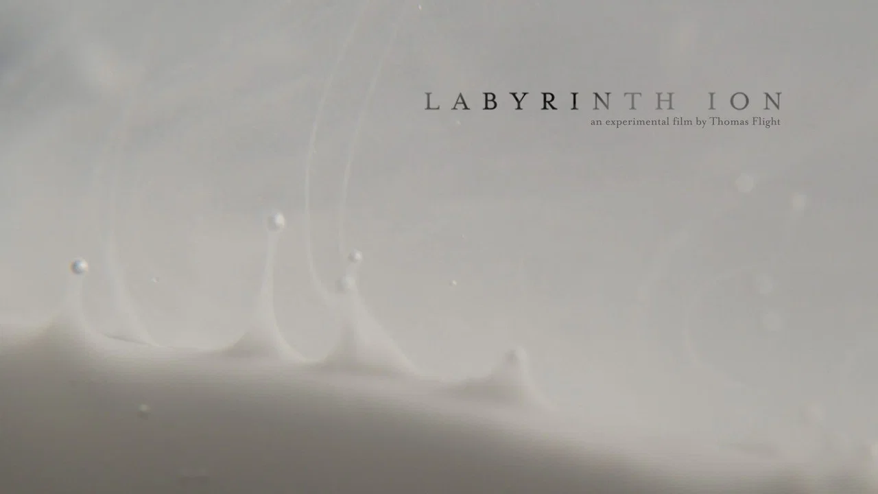 Labyrinth Ion - 剧照
