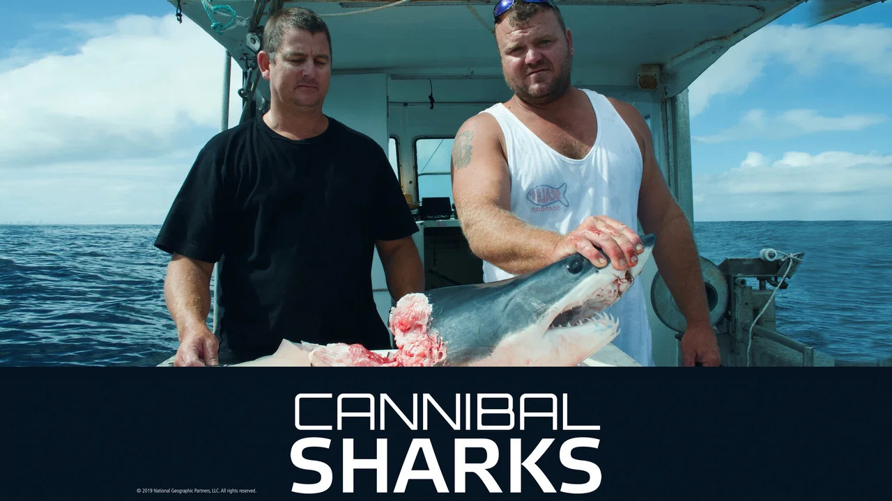 Cannibal Sharks - 剧照