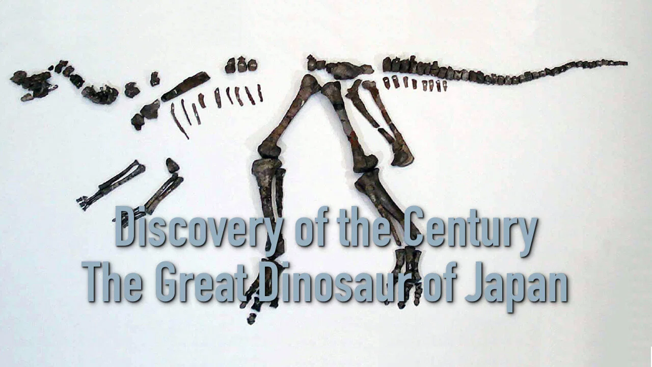 Discovery of the Century &mdash; The Great Dinosaur of Japan - 剧照