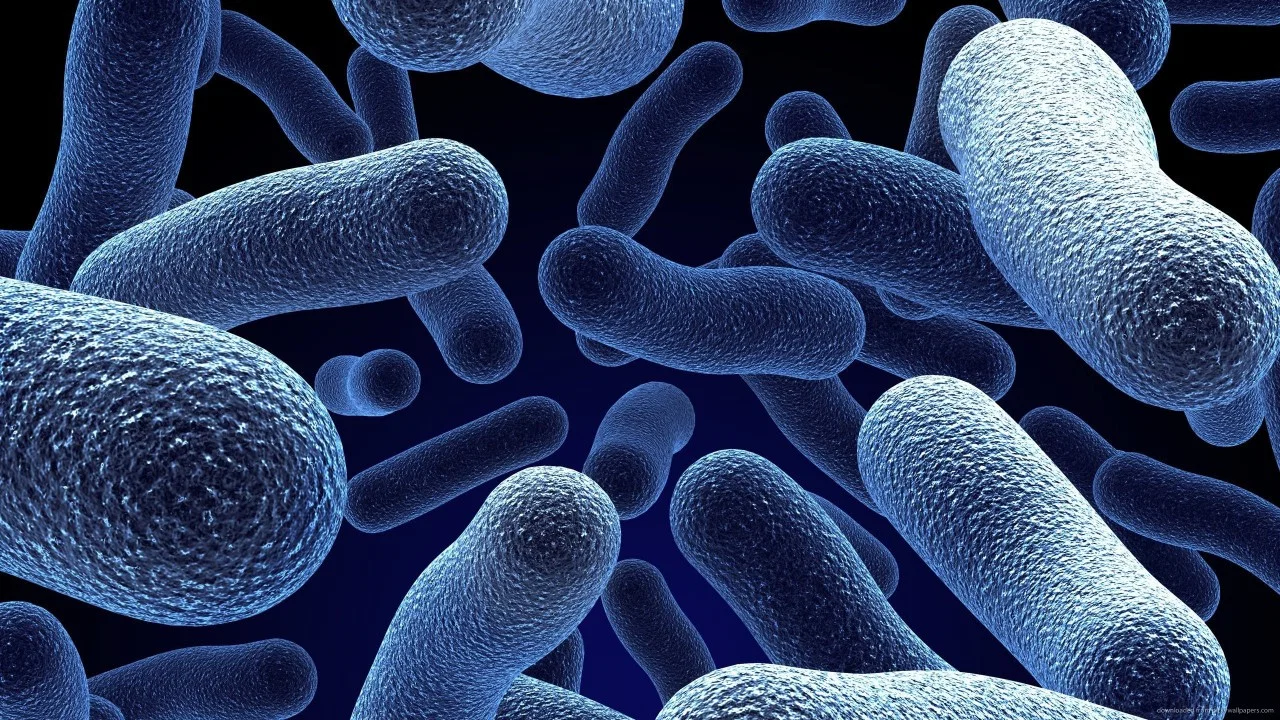 Bacterial World - 剧照