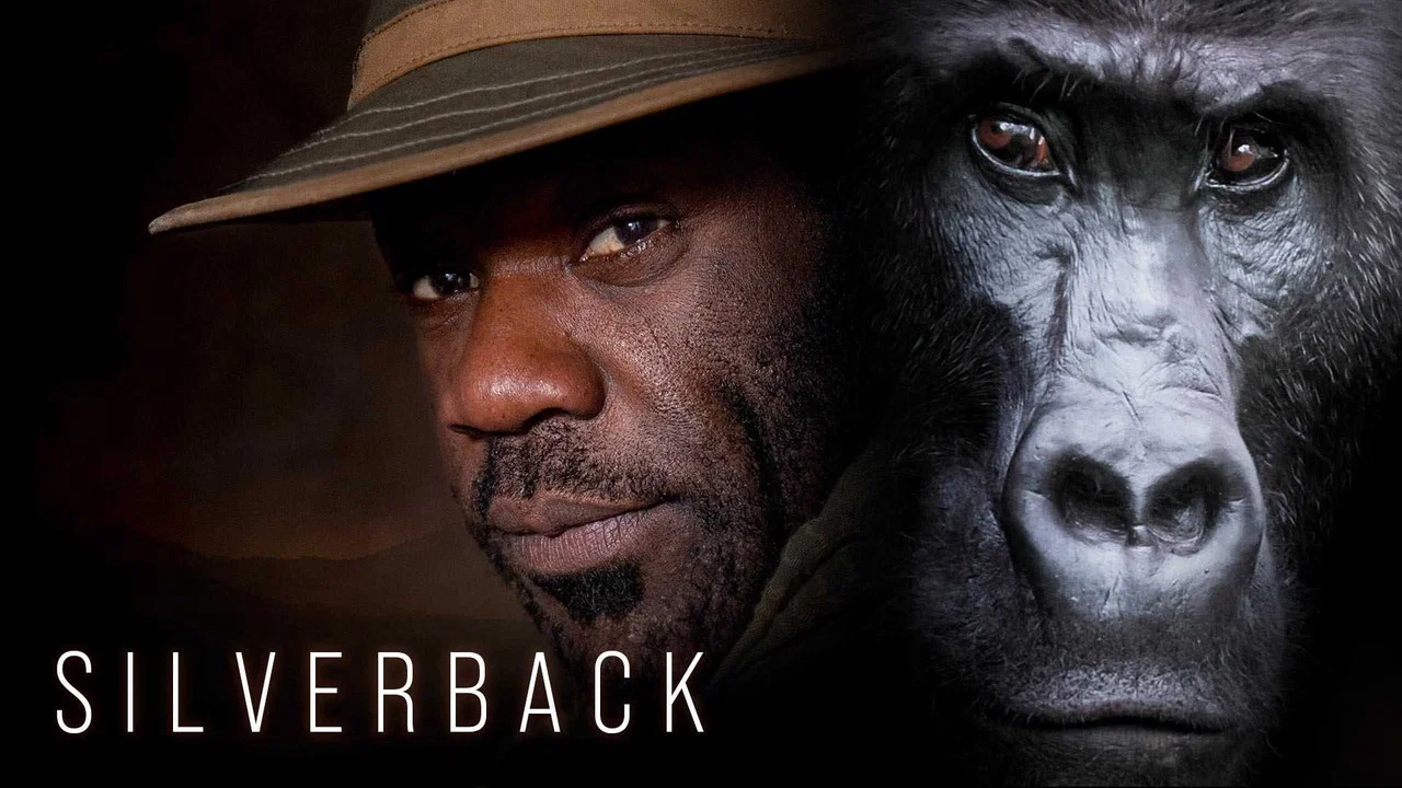 Silverback - 剧照