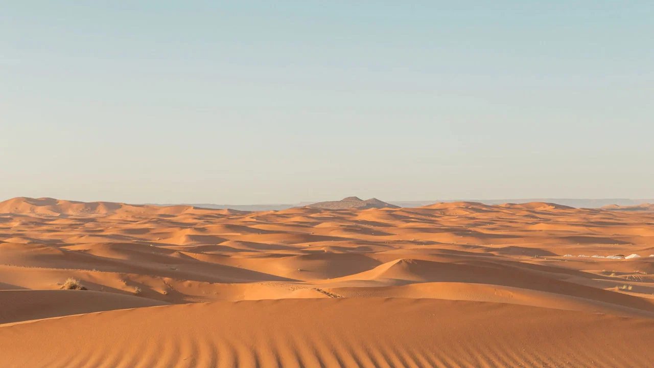 Sahara Swing - 剧照