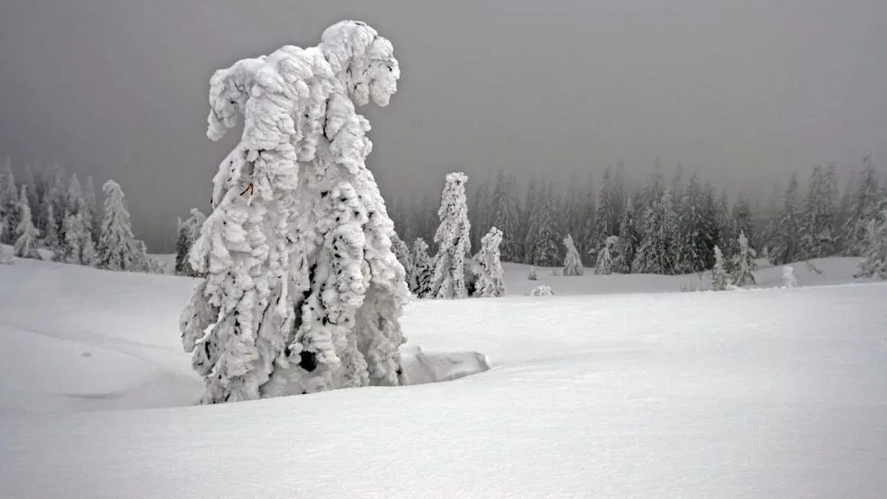 Winter am Alpenrand - 剧照
