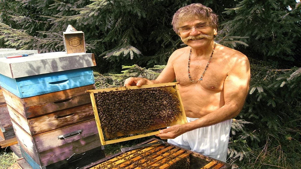 太阳女王：蜜蜂告诉我们什么？ - 剧照