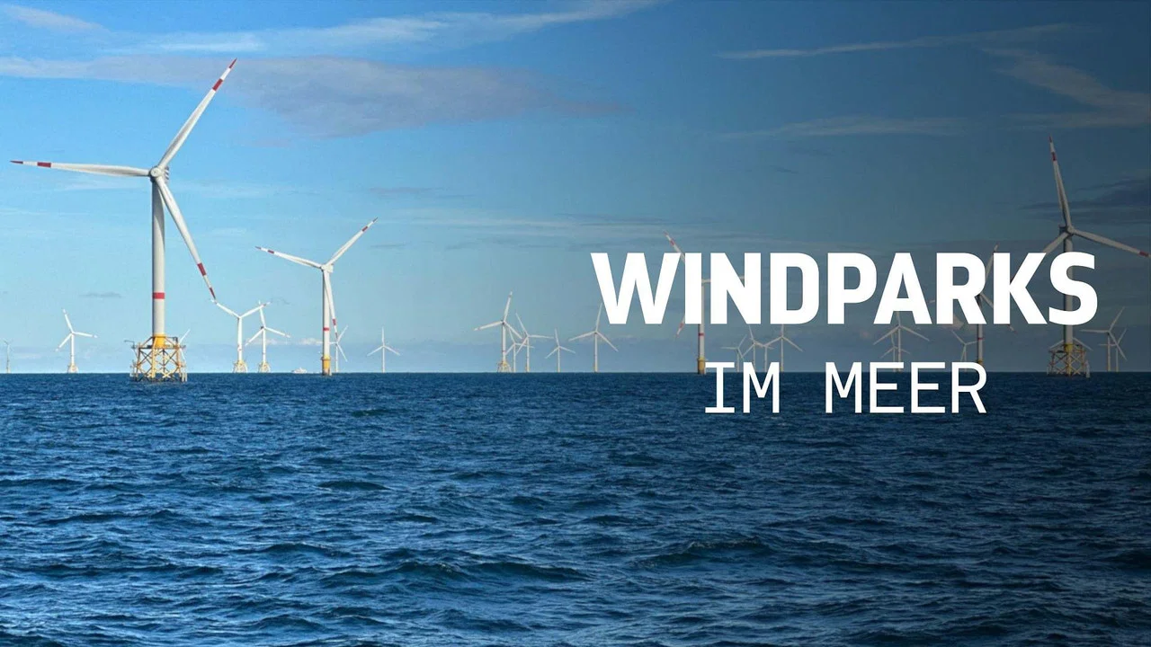 Windparks im Meer - Chance oder Risiko f&uuml;r die Natur? - 剧照