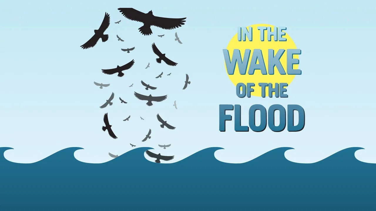 In the Wake of the Flood - 剧照