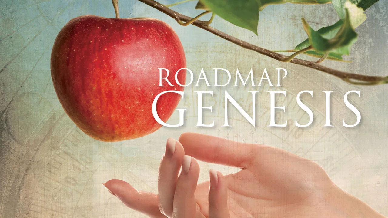 Roadmap Genesis - 剧照
