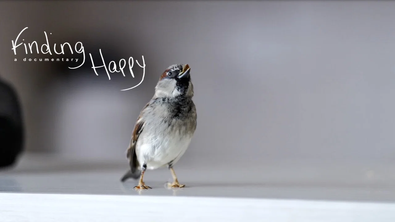 Finding Happy - 剧照