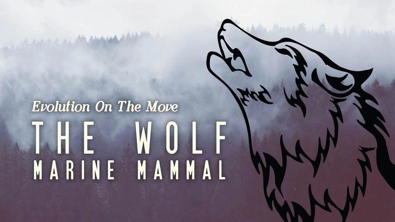 The Wolf: Marine Mammal - 剧照
