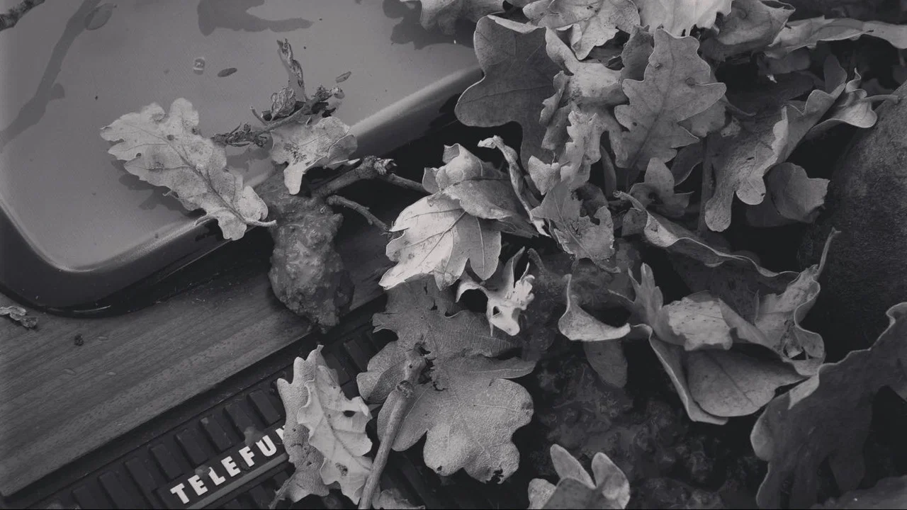 tVision - 剧照