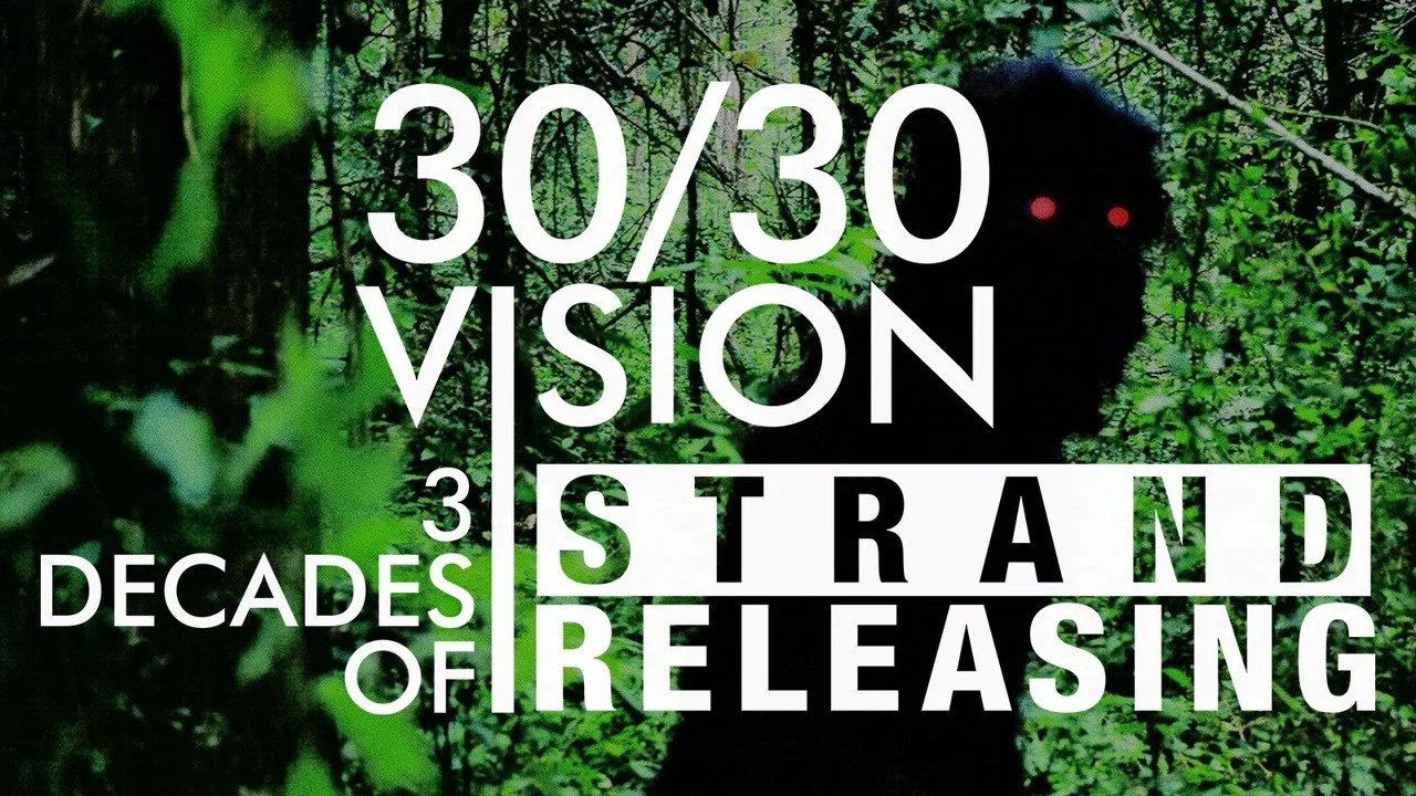 30/30 Vision: Three Decades of Strand Releasing - 剧照