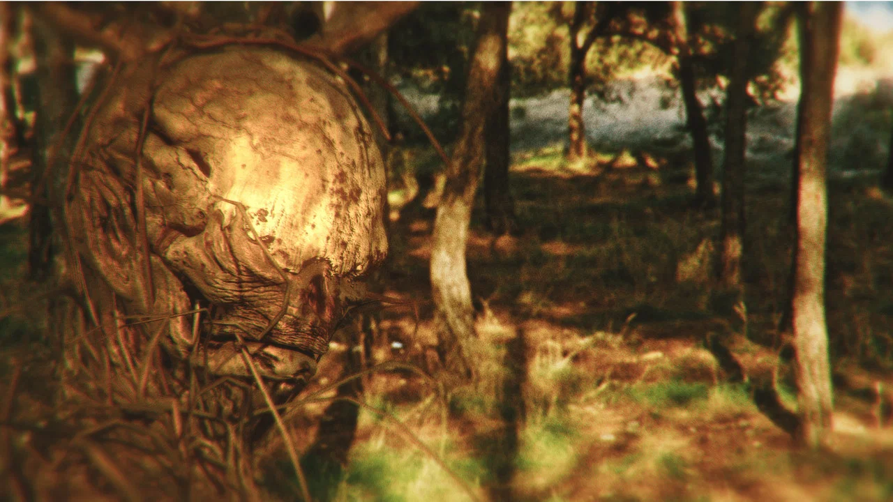 La Bestia en el Bosque - 剧照