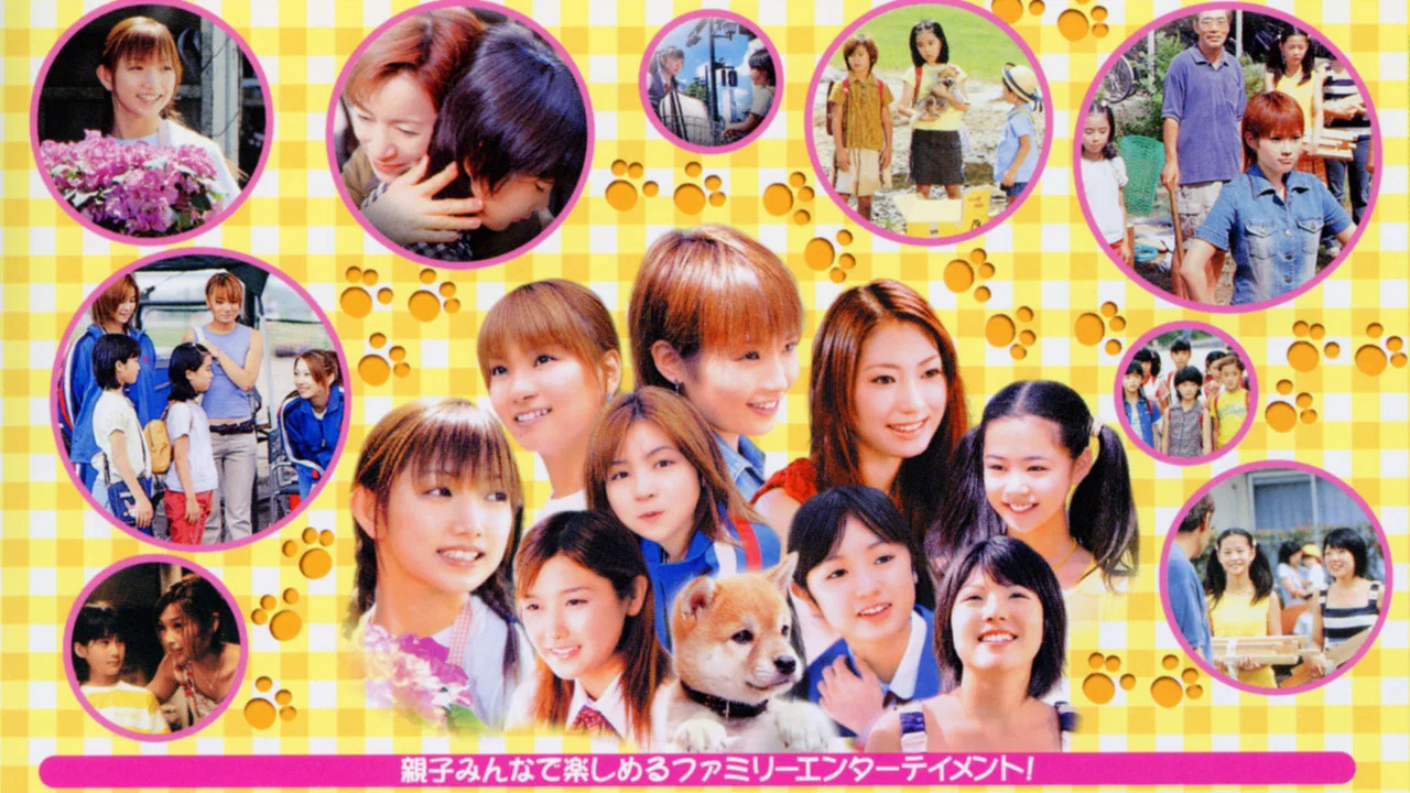仔犬ダンの物語 - 剧照