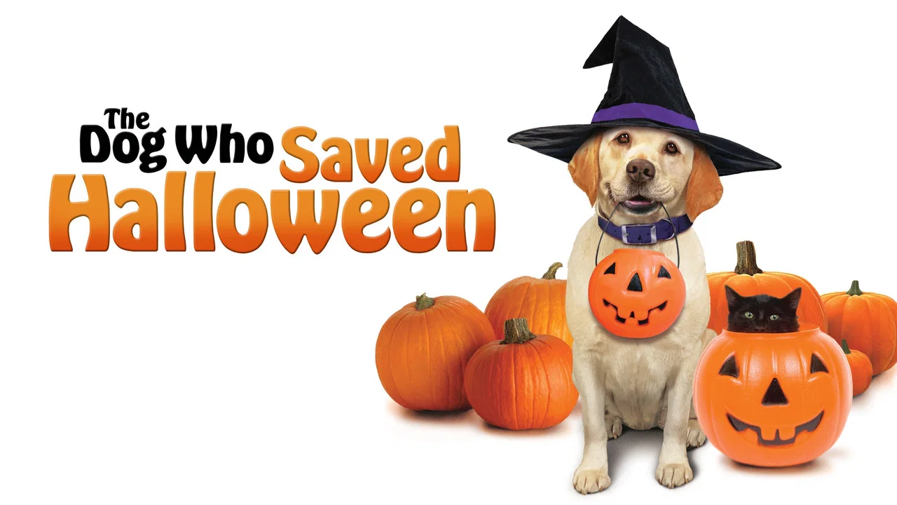 The Dog Who Saved Halloween - 剧照