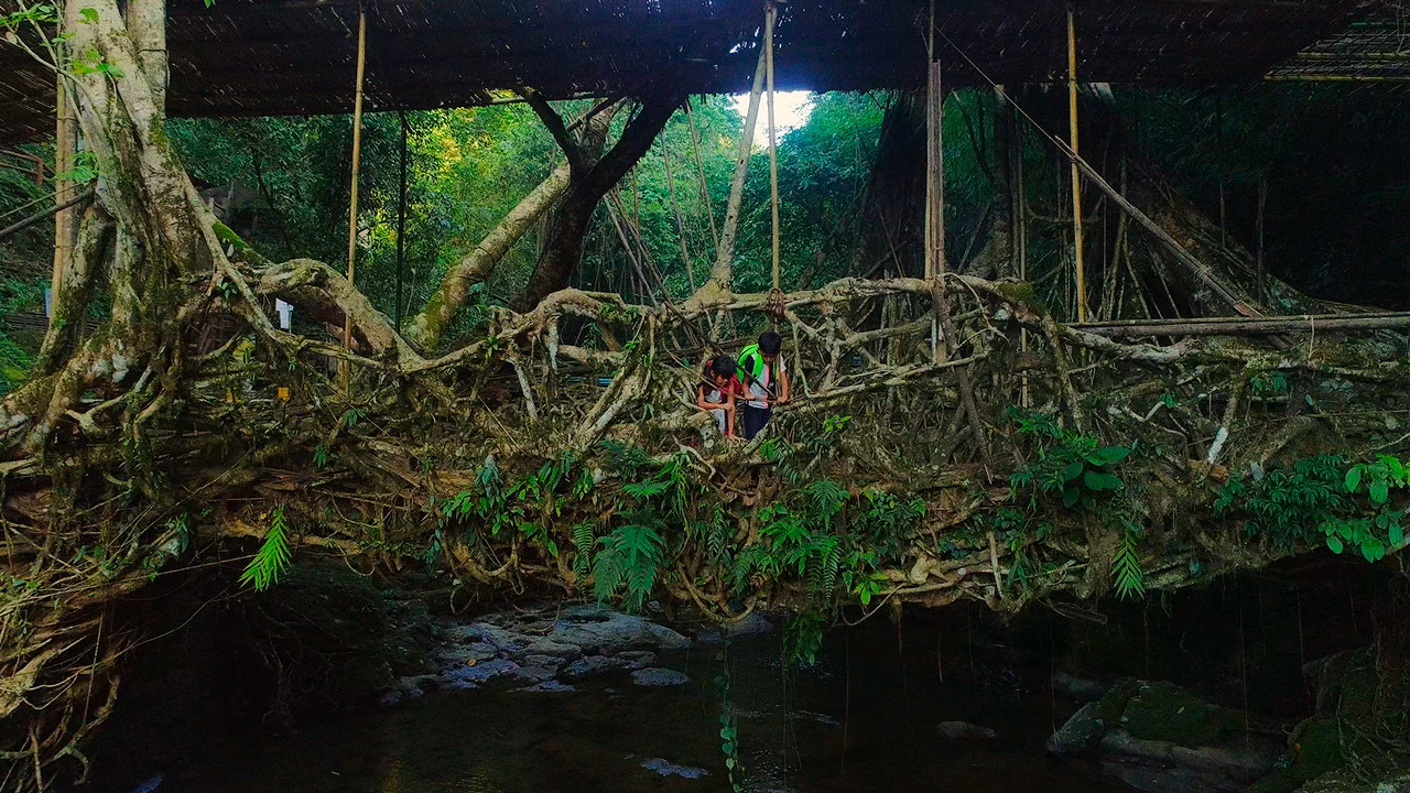 For Tomorrow - the Documentary - 剧照