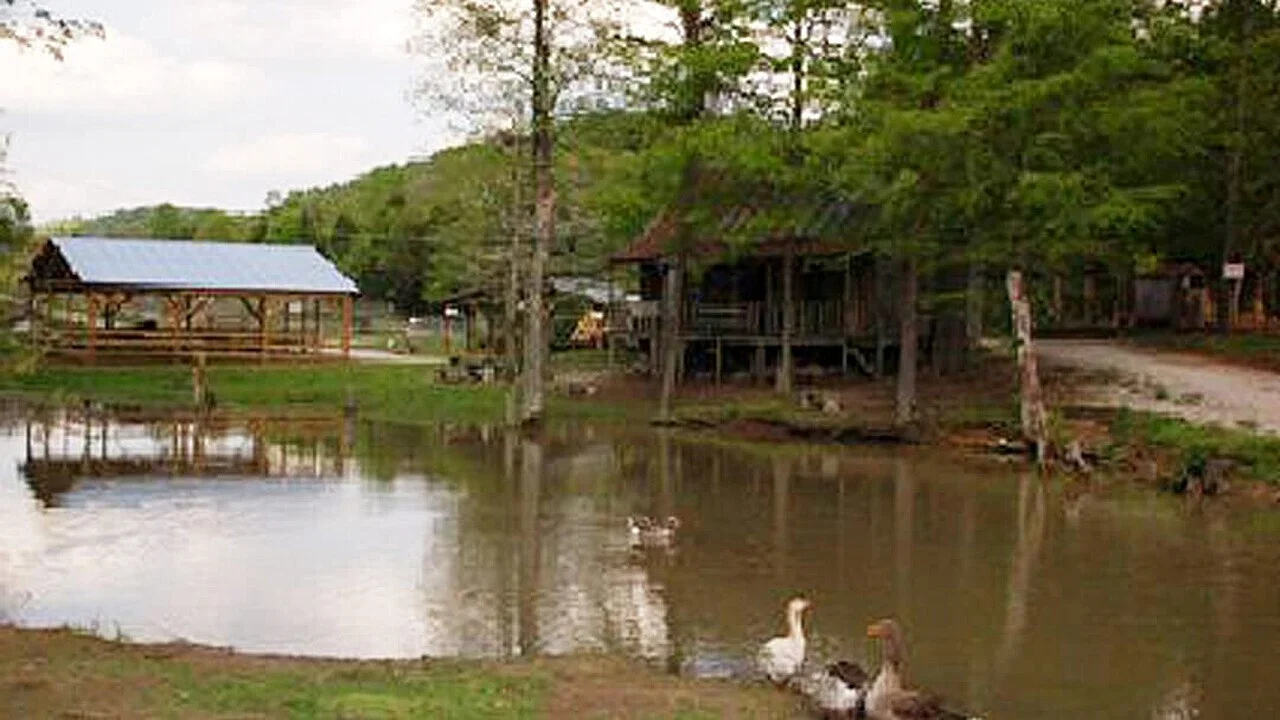 The Little Ponderosa Zoo - 剧照