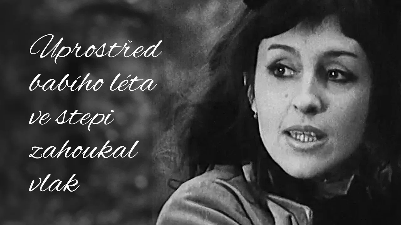 Uprostřed bab&iacute;ho l&eacute;ta ve stepi zahoukal vlak - 剧照
