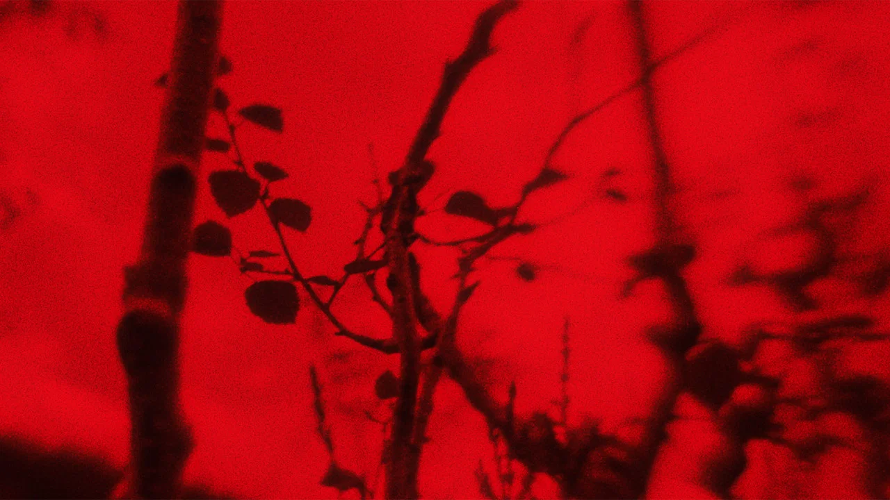 Det likner en kropp - 剧照