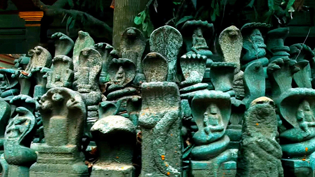 ഇ - 剧照