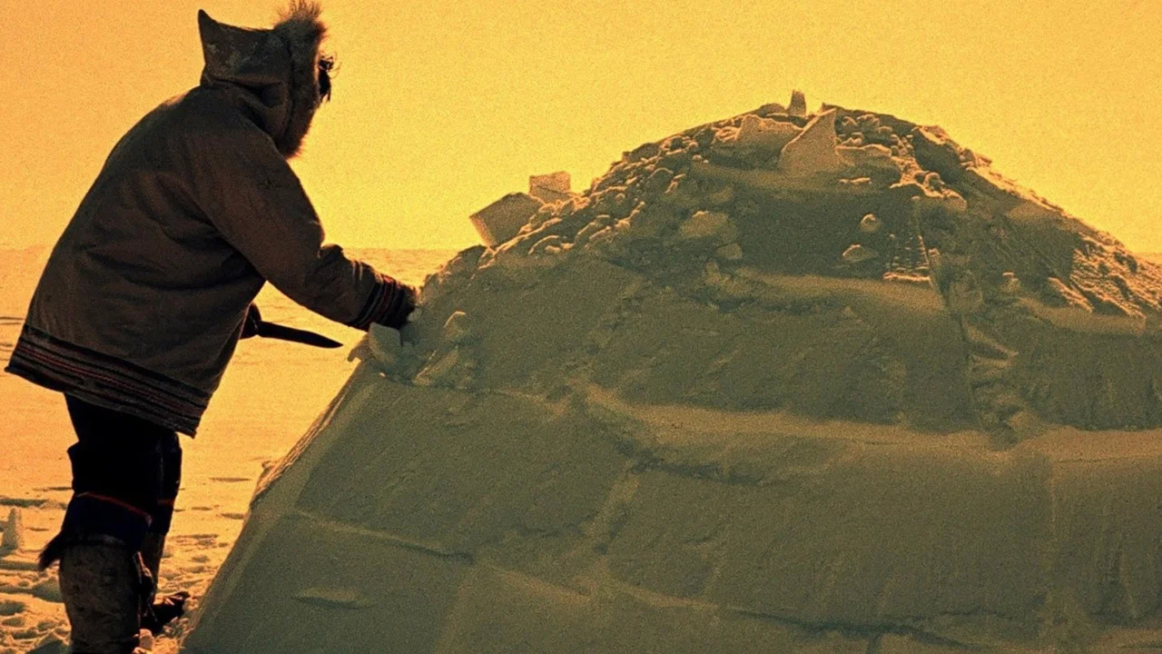 How to Build an Igloo - 剧照