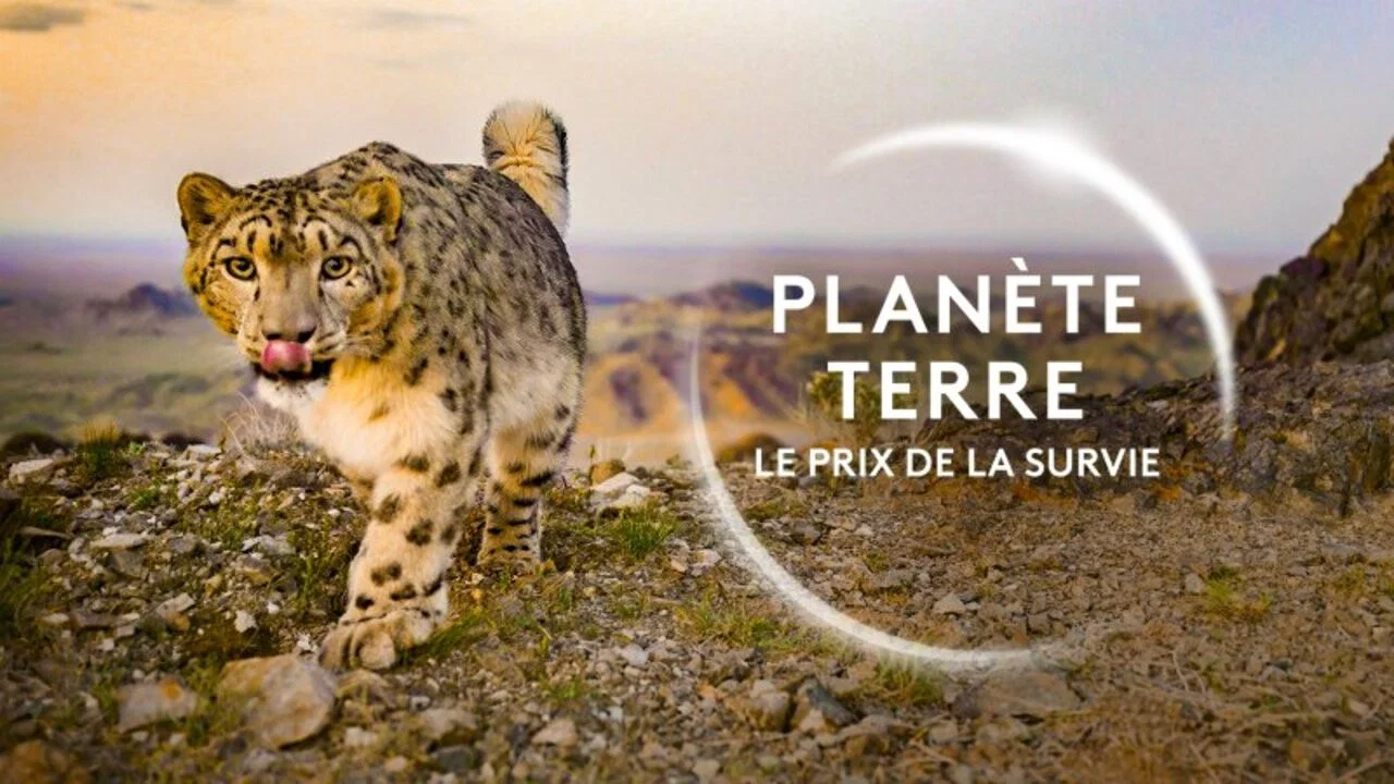 Plan&egrave;te Terre, le prix de la survie - 剧照
