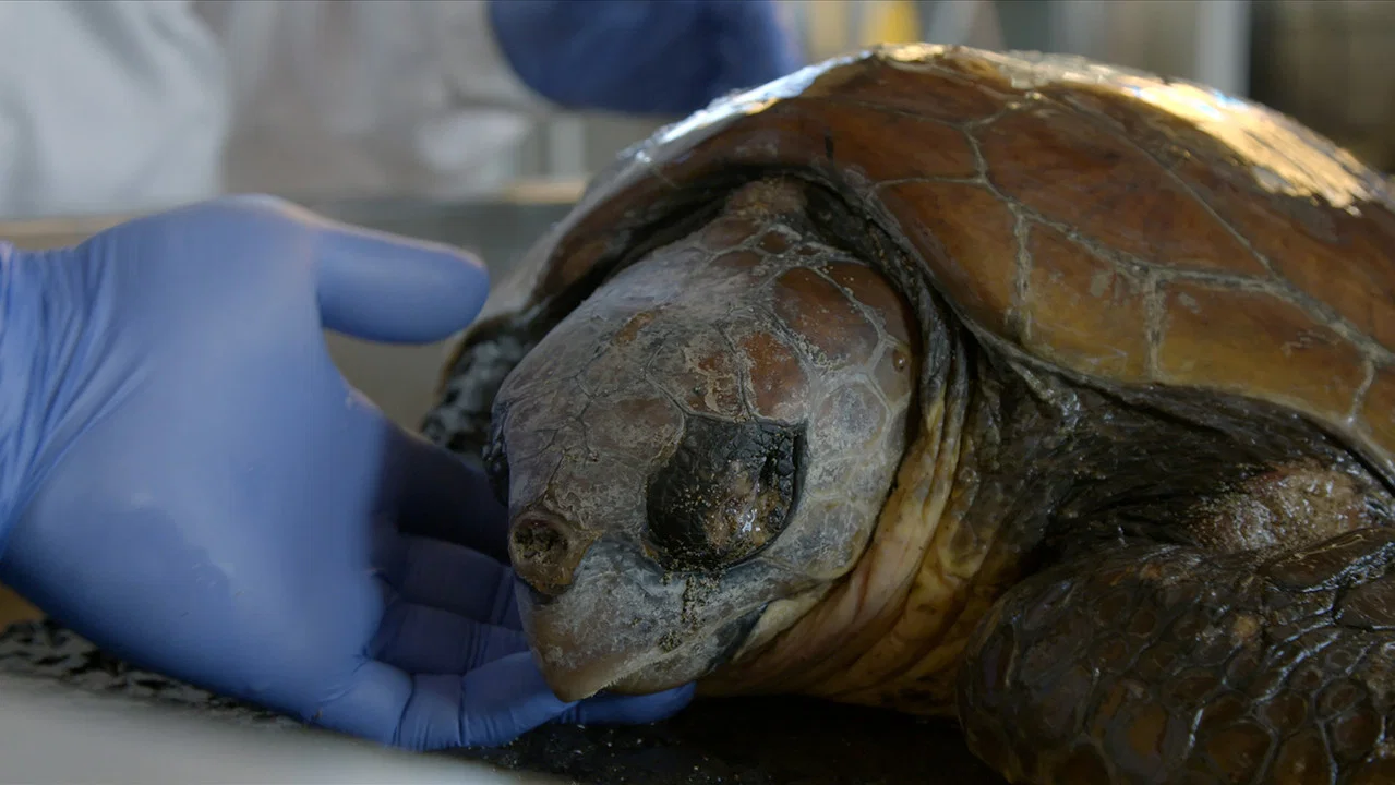 Man Kind Man - 剧照