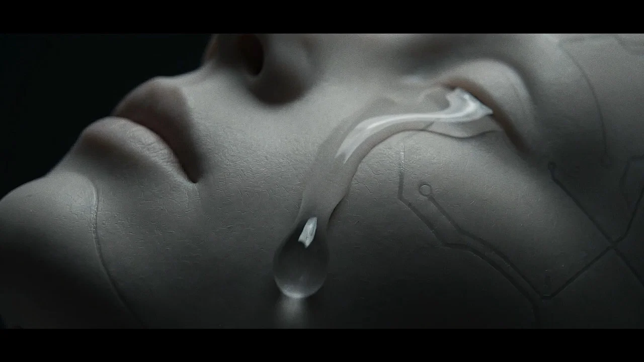 ARCHAEOLOGY OF UNBORN FACES - 剧照