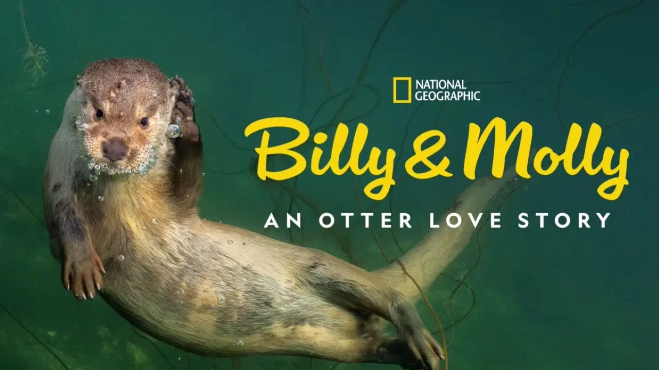 Billy & Molly: An Otter Love Story - 剧照
