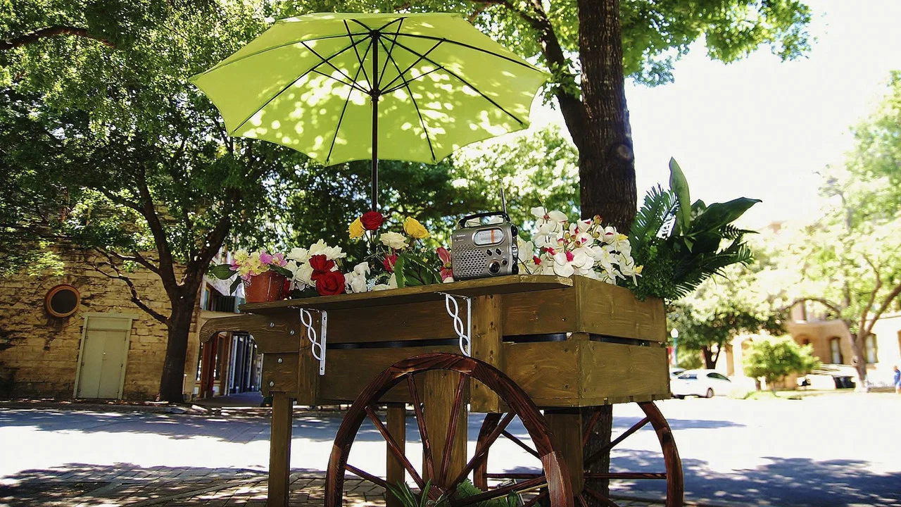 The Man Who Loved Flowers - 剧照