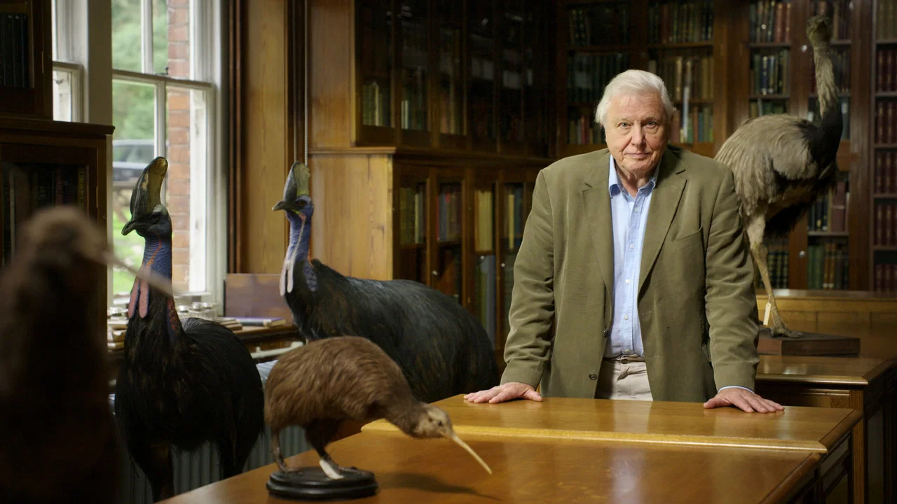 Attenborough's Big Birds - 剧照