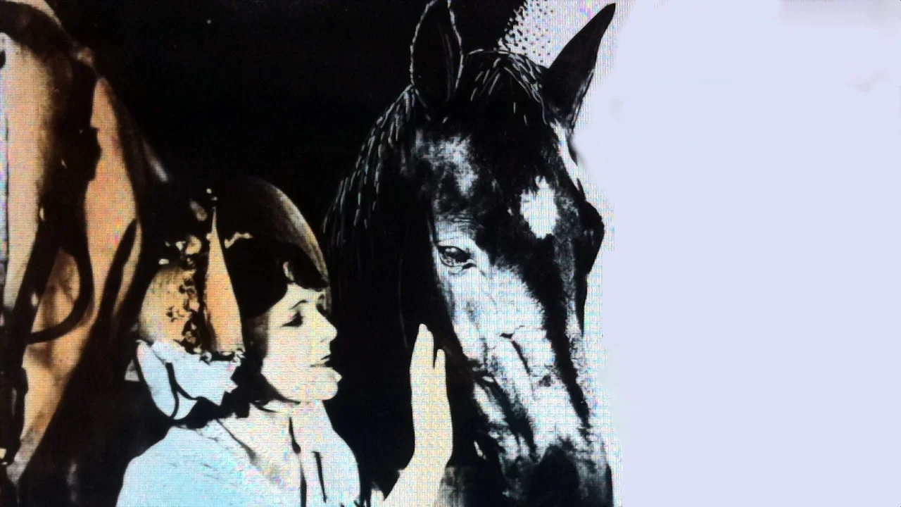 Black Beauty - 剧照