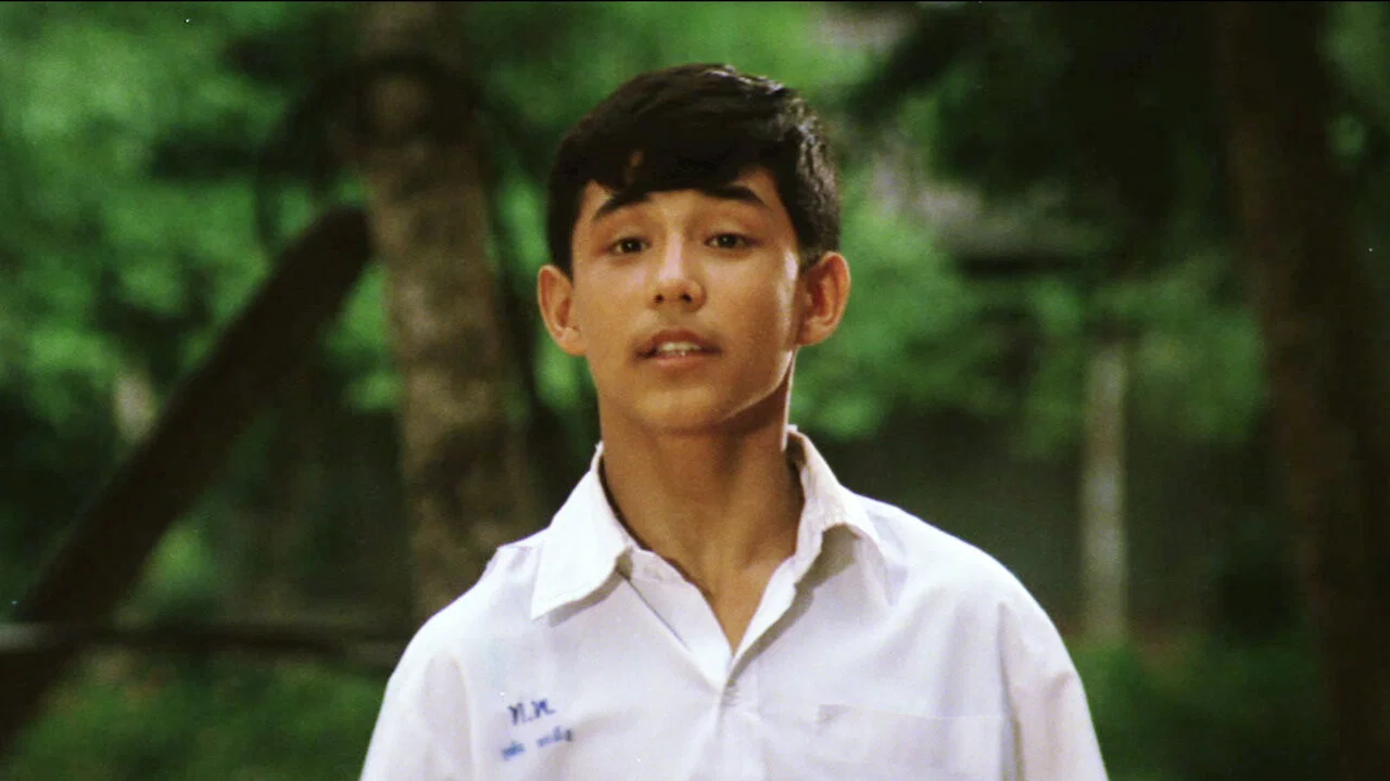 ผีเสื้อและดอกไม้ - 剧照