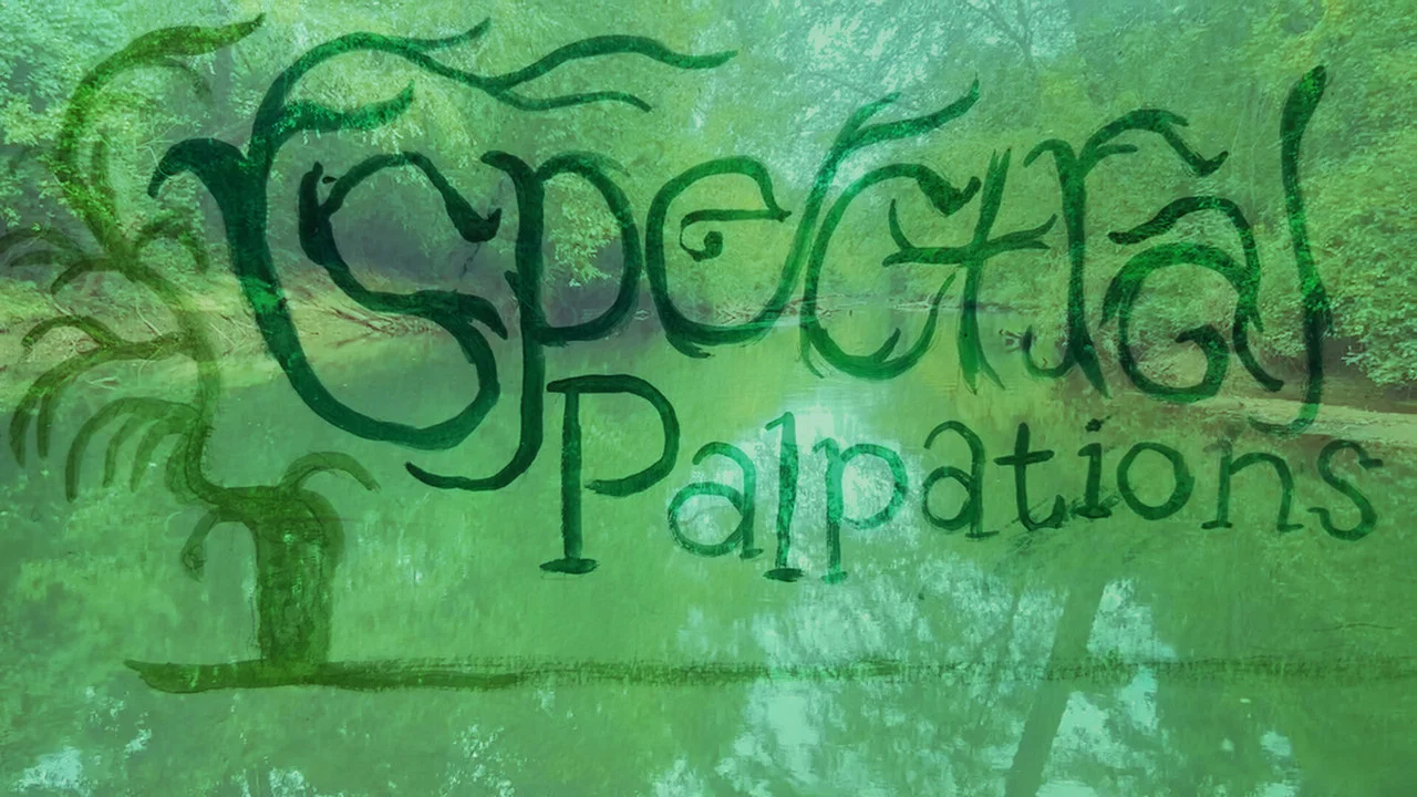 Spectral Palpations - 剧照