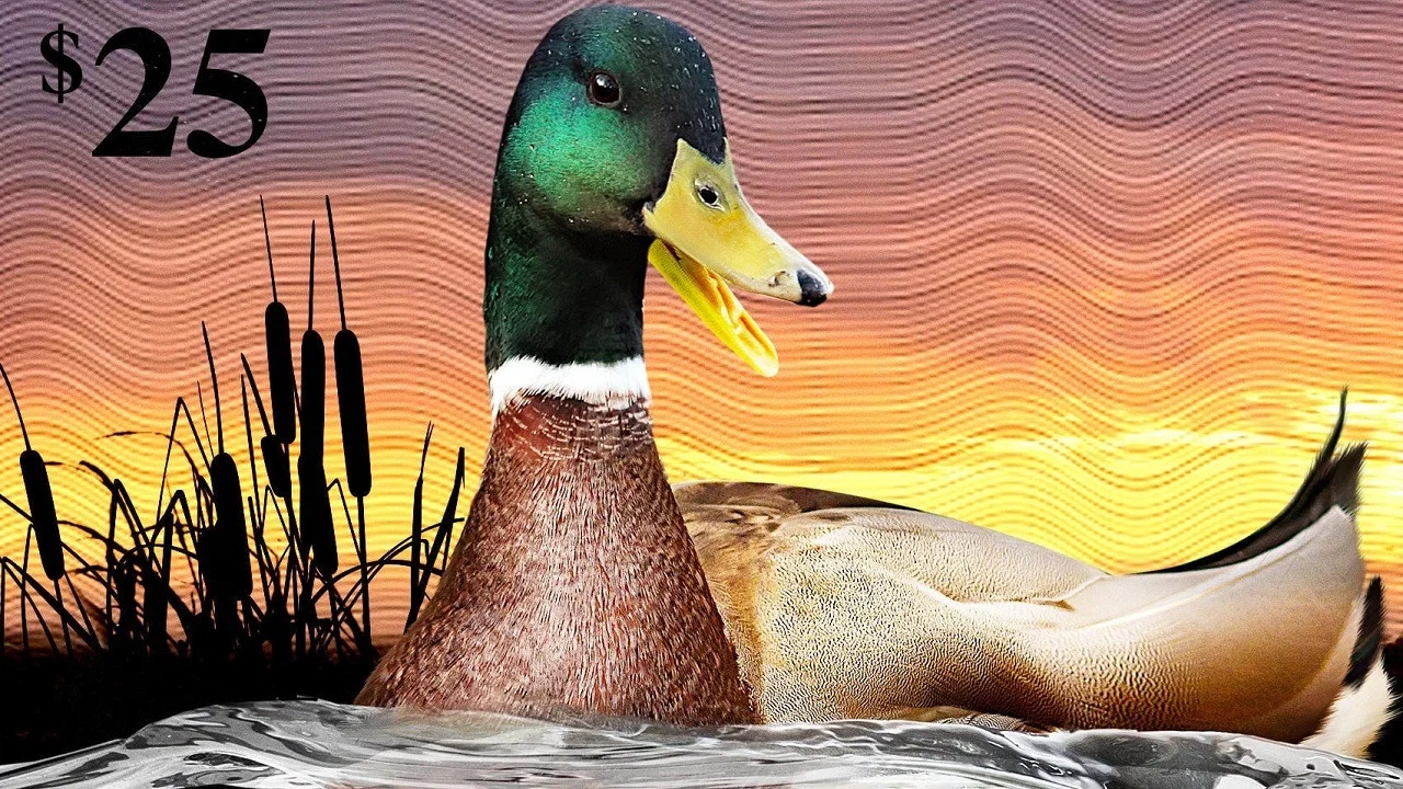 The Million Dollar Duck - 剧照