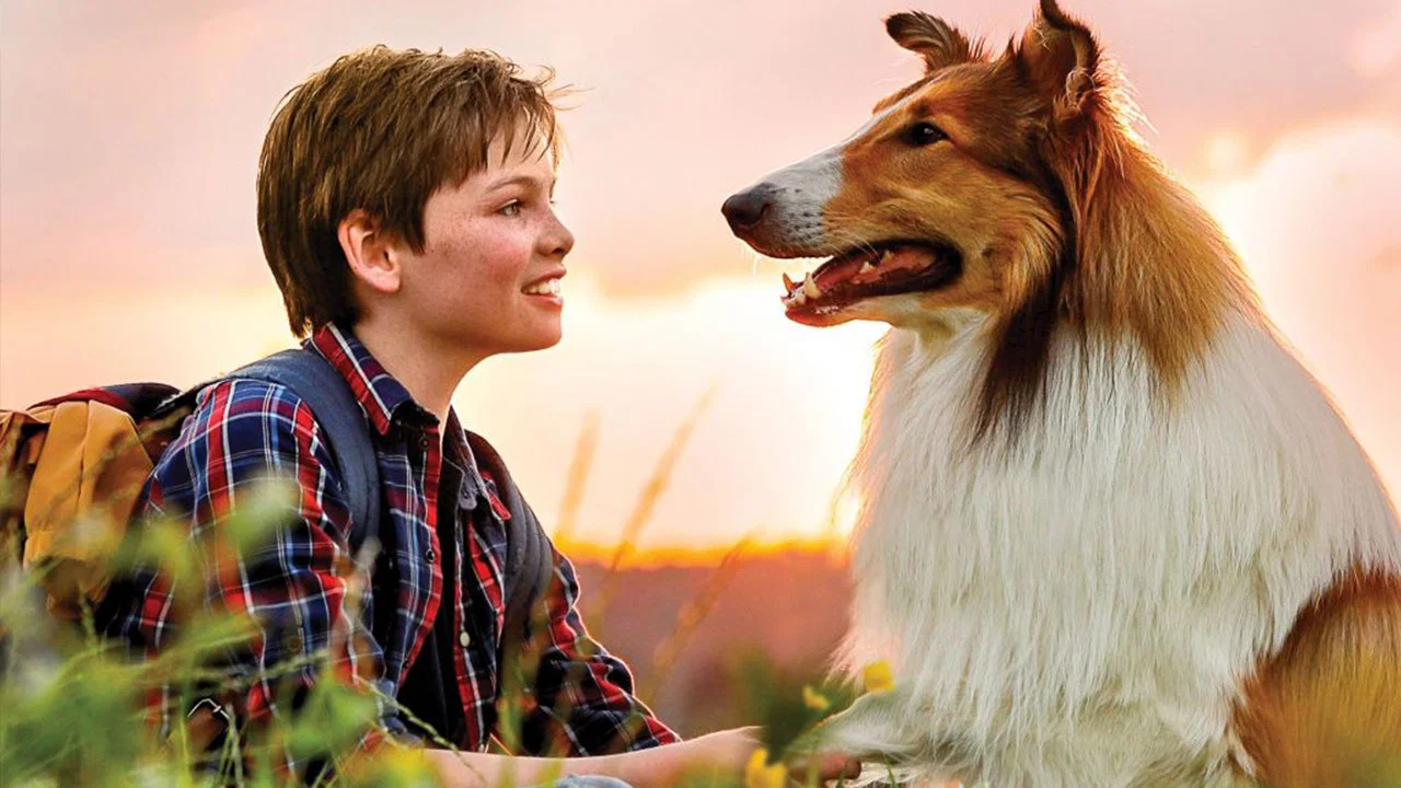 Lassie-冒险之旅 - 剧照