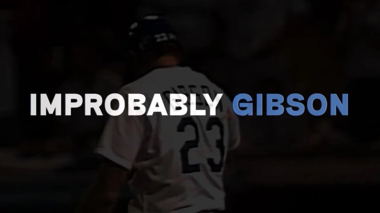Improbably Gibson - 剧照