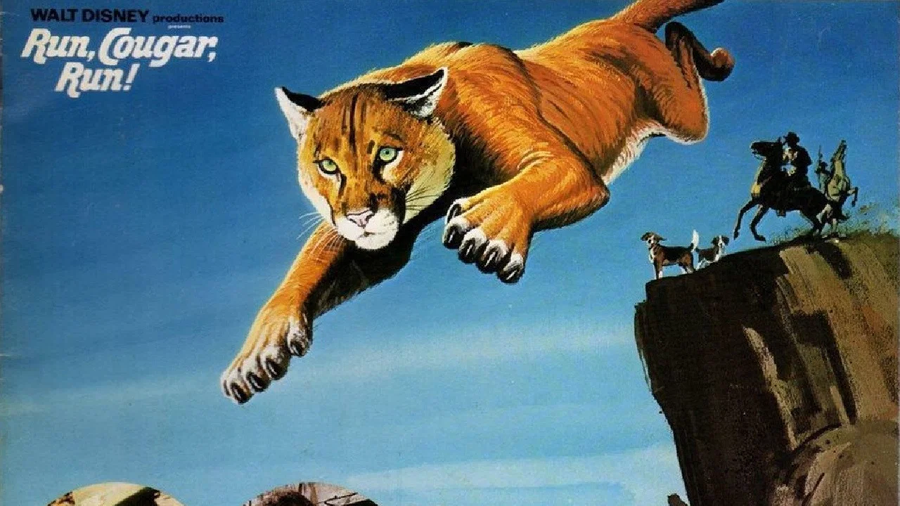 Run, Cougar, Run - 剧照